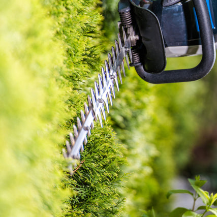 Lawn & GardenClose-up of an electric hedge trimmer cutting a lush, bright green hedge. The sharp blades are visible, with a focus on precision and neatness.